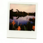 10101000250_fufu_one-picture