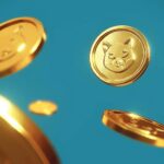 10102000410_fufu_tokenized