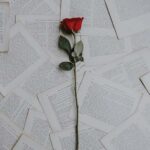10102000620_fufu_poem